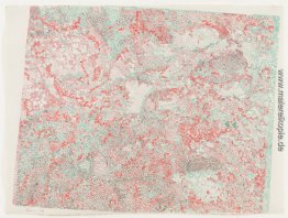 Anaglyphic View, Mondgestein, stereoskopisches Bild der Mondober