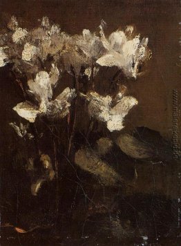 Blumen, Cyclamens