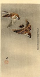 Zwei Spatzen im Flug Zwei Spatzen im Flug