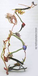 Extend-Expand Extend-Expand