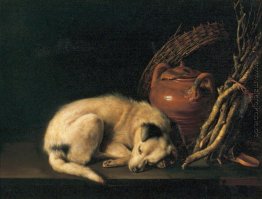 Ein Schlafender Hund mit Terrakotta-Topf