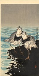 Knoten auf Shore Knoten auf Shore