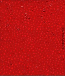 Infinity Net Infinity Net