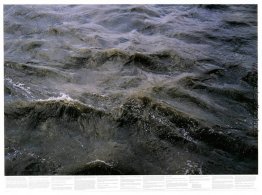 Untitled (aus der Serie Still Water (Die Themse, zum Beispiel))