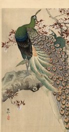 Zwei grüne Pfauen auf dem Ast eines blühenden Baum