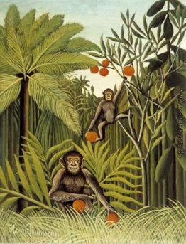 Die Affen im Dschungel