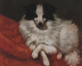 Sitzen auf Kissen Hund