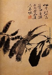 Gemüsegärten Gemüsegärten