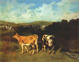 White Bull und Blond Färse