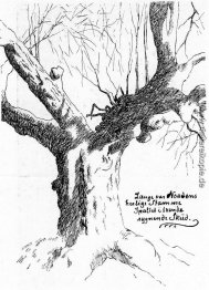 Lange Var Nordens Herlige Stamme