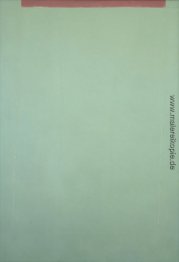 Transparent Grün Sun-Box Transparent Grün Sun-Box