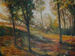 Orange Park Landschaft