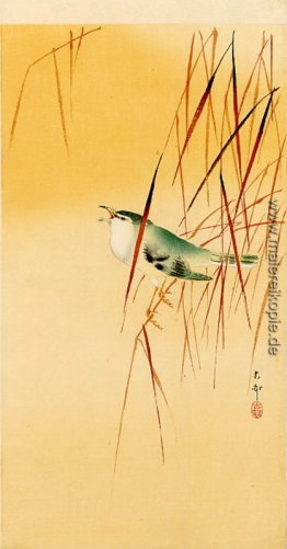 Songbird in Reeds