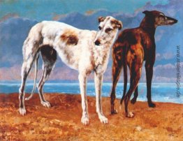 Windhunde des Comte de Choiseul