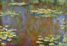 Wasserlilien
