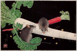 Japanischen Rettich, Ratten und Karotte