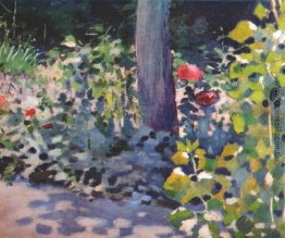 Mohnblumen im Garten