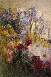 Pfingstrosen und Iris