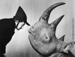 Dali und Rhinoceros