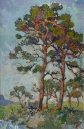 Firs mit roten Stämmen, Kenilworth Firs mit roten Stämmen, Kenilworth