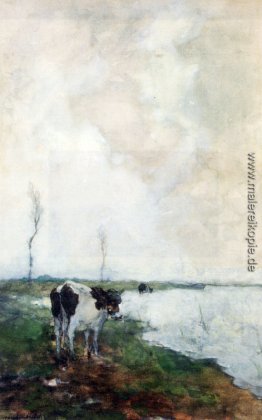 Eine Kuh, direkt am Wasser in einem Polder