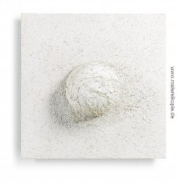 Entité erektile Entité erektile