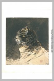 Katzenkopf Katzenkopf