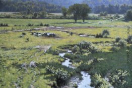 Walpole Wiese