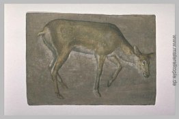 Skizze der damhirschkuh