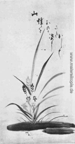 Orchid and Bee