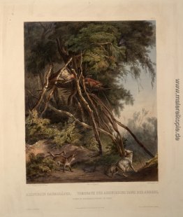Tombs of Assiniboin Indianern auf Bäumen, Platte 30 von Band 1 d