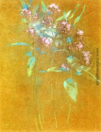 Wildblumen Wildblumen