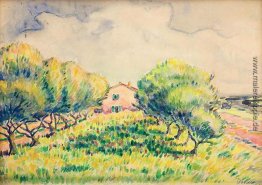 Landschaft von Provence