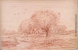 Fluss-Landschaft: Creek Überquerung einer bewaldeten Wiese