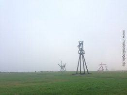 Crissy Field