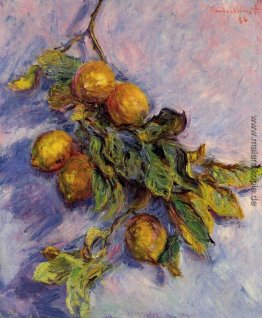 Branch of Lemons