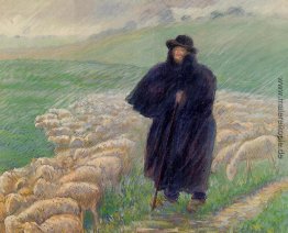 Shepherd in einem Regenguss