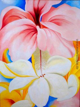 Hibiscus mit Plumeria