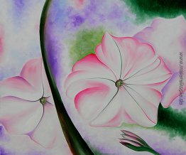 Petunia No. 2