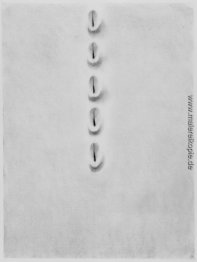 Fünf Kratzer Fünf Kratzer