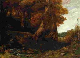 Eintritt in den Wald
