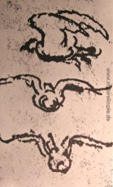 Zeichnungen eines Vogels im Flug