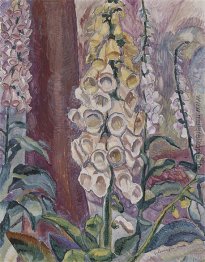 Fingerhut wächst Fingerhut wächst