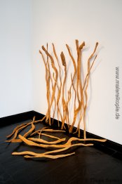 Evocações d'Água Evocações d'Água