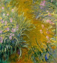 Weg durch die Iris 01 Weg durch die Iris 01