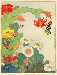 Kaktus. Mers Du Sud Kaktus. Mers Du Sud