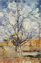 Rosa Pfirsich-Bäume Rosa Pfirsich-Bäume