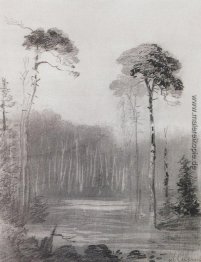 Landschaft Landschaft