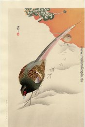 Ein Paar Fasanen im Schnee Ein Paar Fasanen im Schnee