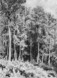 Trees. Kozlovka-Zaseka